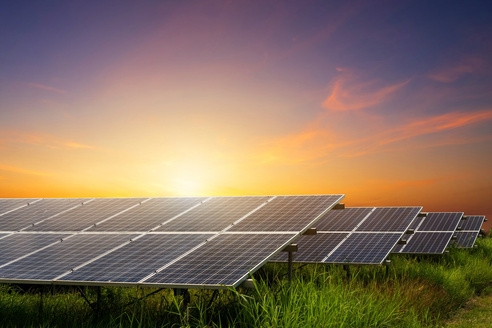 Solar panels at golden hour